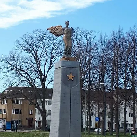 De Roos *
